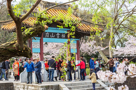 “百花迎春——中国文学艺术界2024 春节大联欢”在京举行